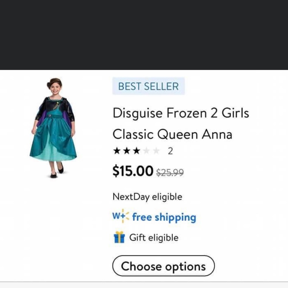 HOLD for Cassiejo_21 - Anna Frozen costume